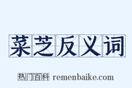 菜芝反义词是什么意思的图片